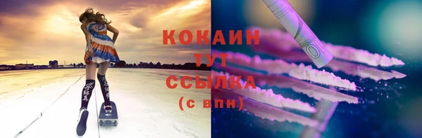 прущие грибы Майский