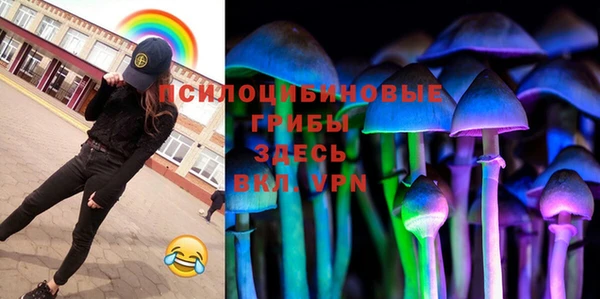 spice Лиски