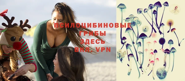 гашик Магадан