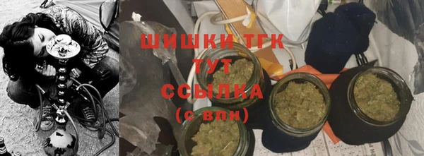 мяу мяу мука Магас