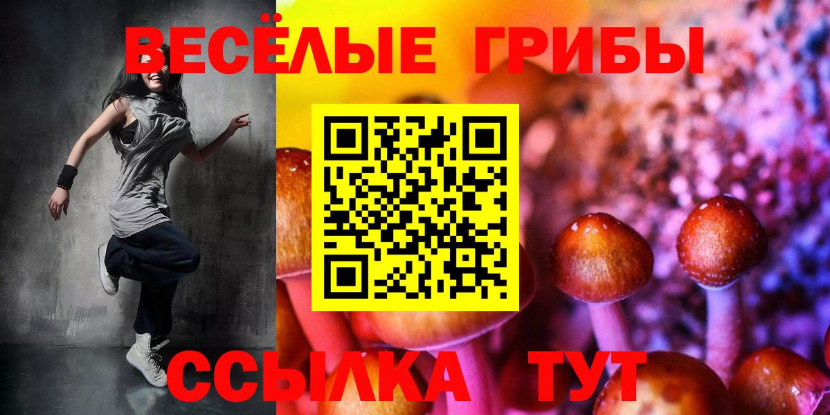 Галлюциногенные грибы GOLDEN TEACHER Нижневартовск