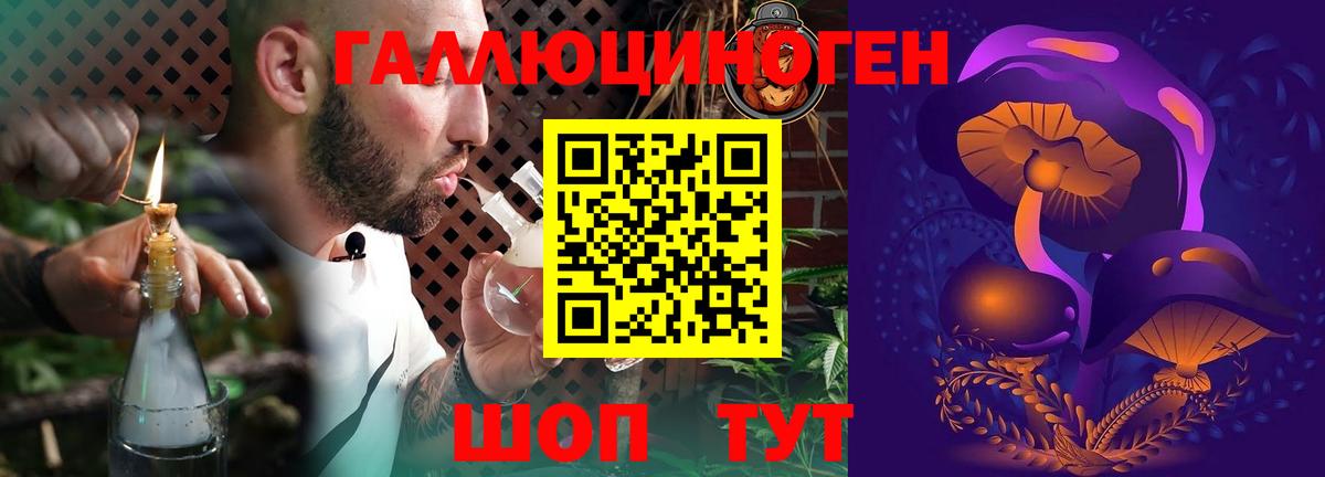 как найти   Псилоцибиновые грибы прущие грибы  Нижневартовск  Галлюциногенные грибы Psilocybe 